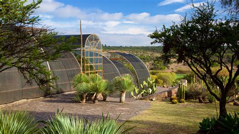  El Jardín Botánico de San Miguel Allende – Enchanting Blooms and Whispers of History!