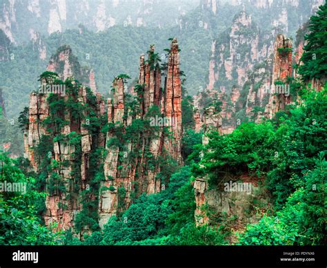 Tianzi Mountain Scenic Area: Utforska en värld av imponerande bergstoppar och mystiska grottor!