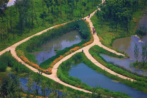 Linghu Wetland Park – En riktig oas för fåglar och naturälskare!