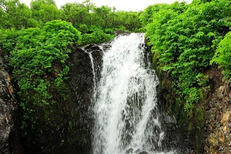 Pagsanjan Falls: Ett majestätiskt vattenfall som kastar sig ner i en klar pool!